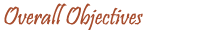 Project Objective