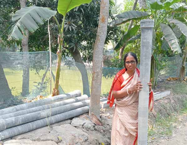 Recent activities in field area