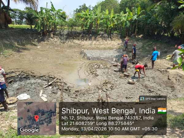 Recent activities in field area