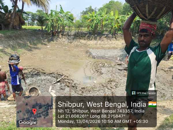 Recent activities in field area