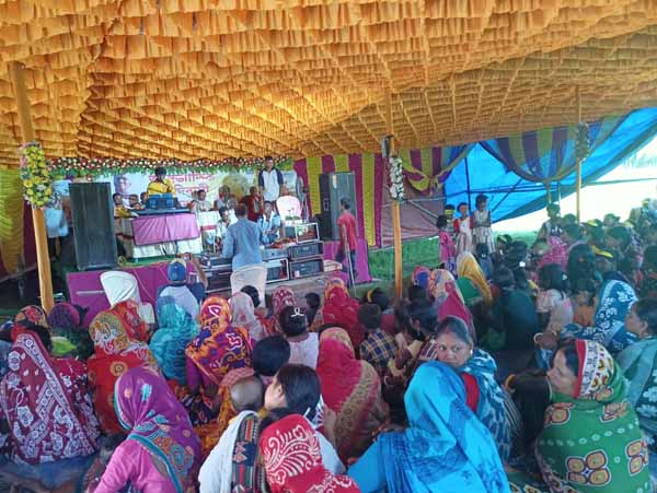 Recent activities in field area
