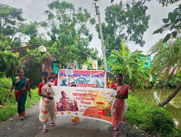 Recent activities in field area
