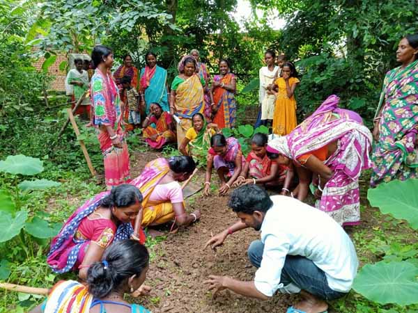 Recent activities in project area...