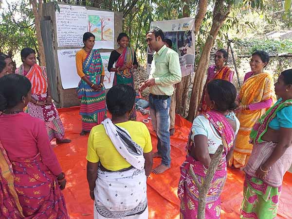 Recent activities in project area...