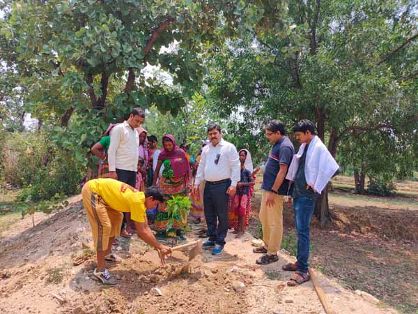 Recent activities in project area...