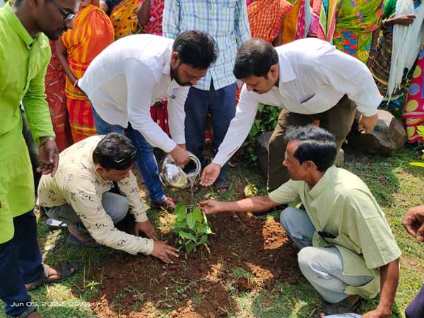 Recent activities in project area...