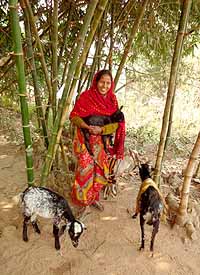 Beneficiaries