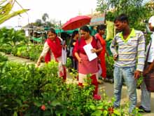 Urban Farming Training