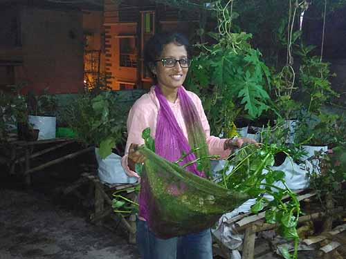 Urban Farming Training