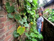 Urban Farming Training