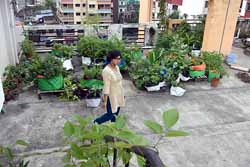 Urban Farming Training