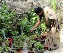 Urban Farming Training