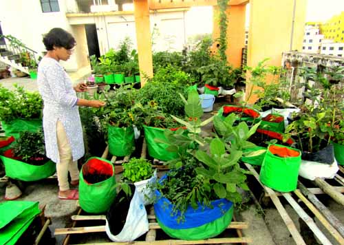 Urban Farming Training