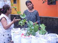 Urban Farming Training