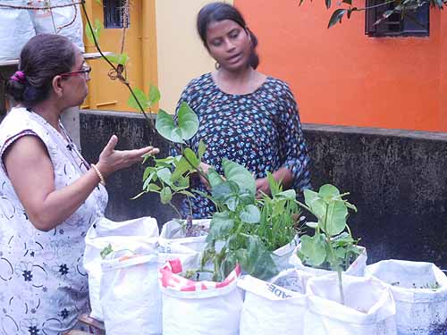 Urban Farming Training