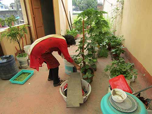 Urban Farming Training