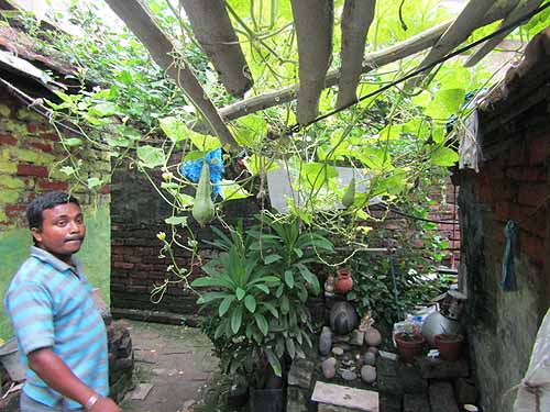 Urban Farming Training