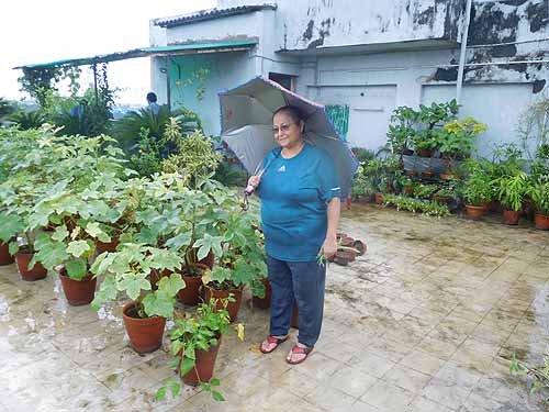 Urban Farming Training