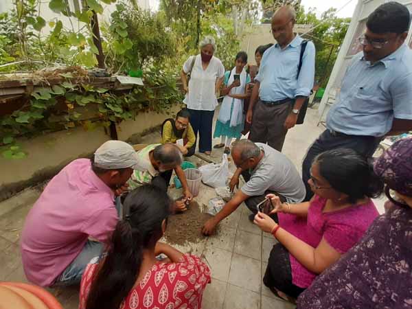 Campaing on Urban Farming