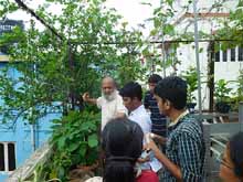 Urban Farming Training