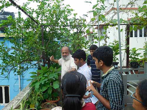 Urban Farming Training