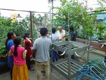 Urban Farming Training