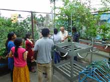 Urban Farming Training