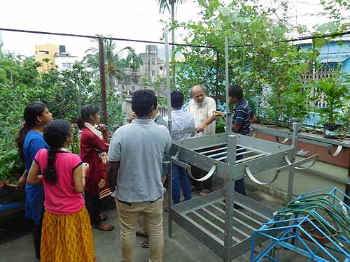 Urban Farming Training