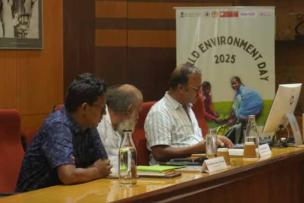 Recent activities in field area