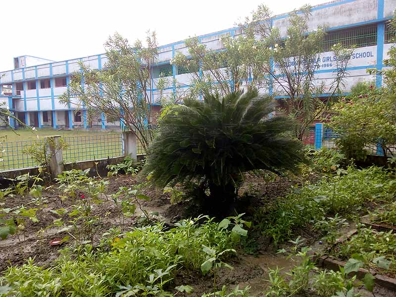 Photo gallery - Recent activities in field area