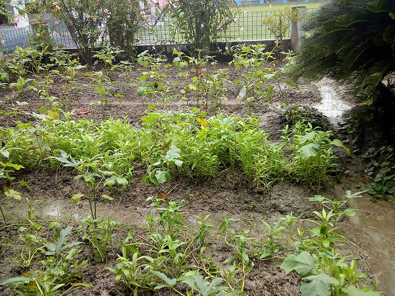 Photo gallery - Recent activities in field area