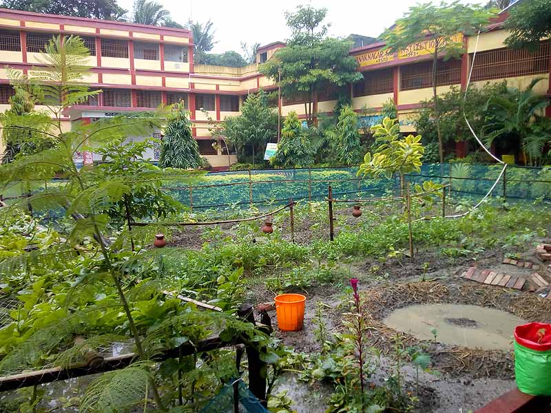 Photo gallery - Recent activities in field area