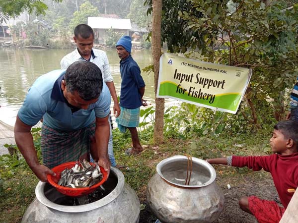 Photo gallery - Recent activities in field area