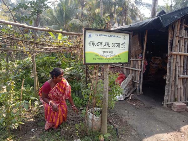 Photo gallery - Recent activities in field area