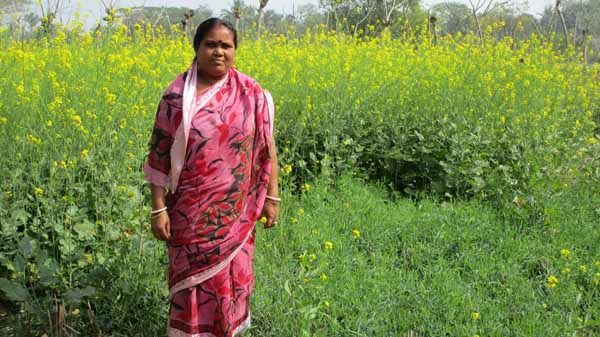 Photo gallery - Recent activities in field area