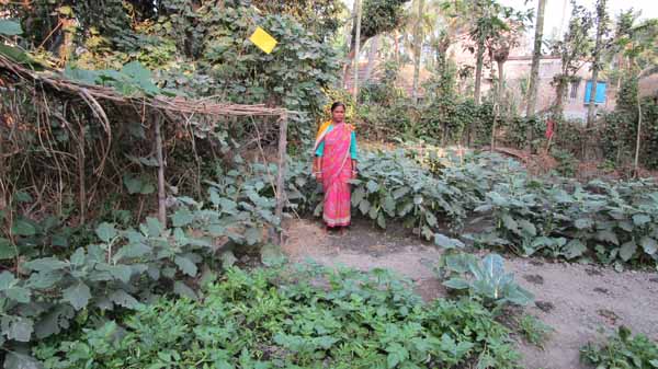 Photo gallery - Recent activities in field area