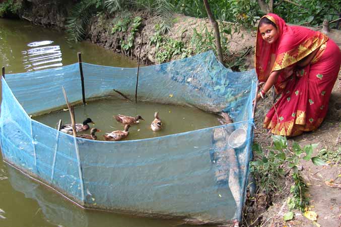 Photo gallery - Recent activities in field area