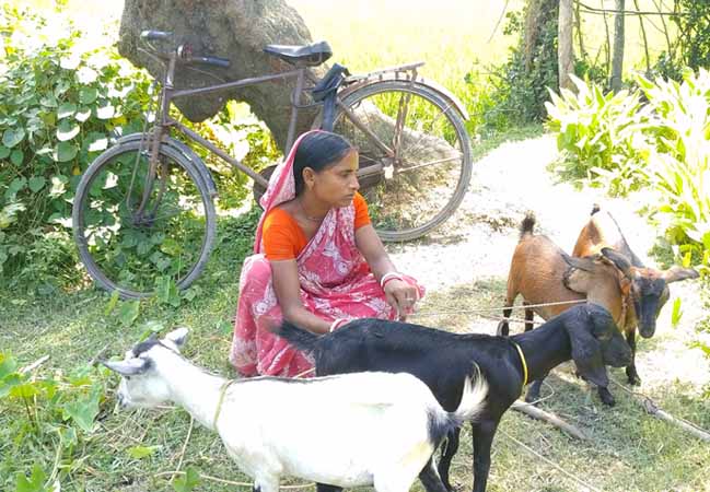Photo gallery - Recent activities in field area
