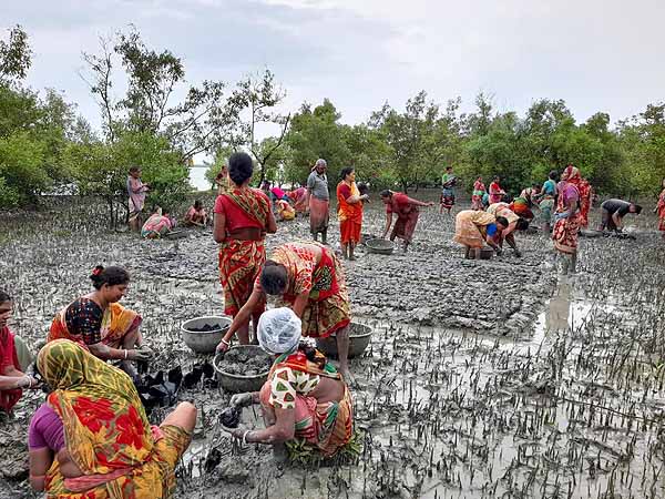 Photo gallery - Recent activities in field area