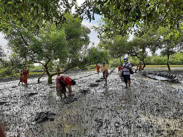 Photo gallery - Recent activities in field area