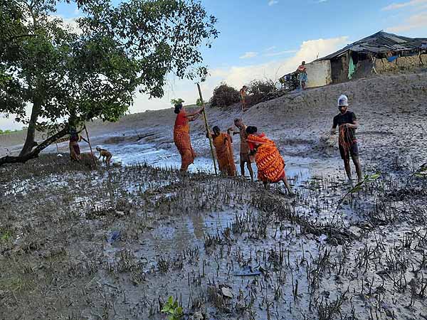 Photo gallery - Recent activities in field area