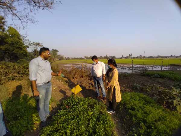 Photo gallery - Recent activities in field area