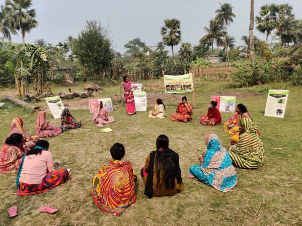Photo gallery - Recent activities in field area