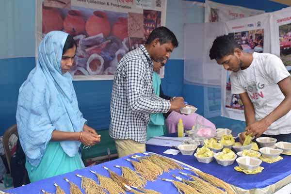 Photo gallery - Recent activities in field area