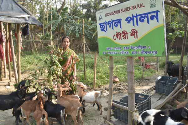 Photo gallery - Recent activities in field area