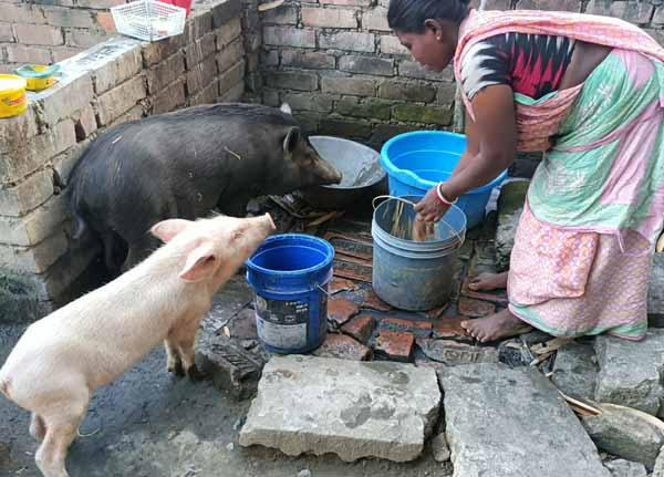 Photo gallery - Recent activities in field area