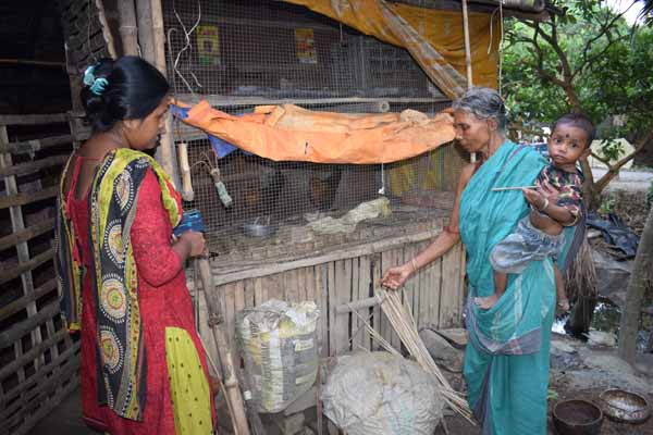 Photo gallery - Recent activities in field area
