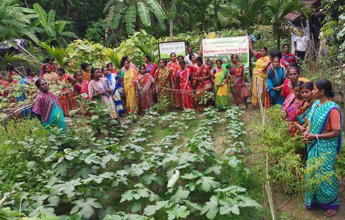 Photo gallery - Recent activities in field area