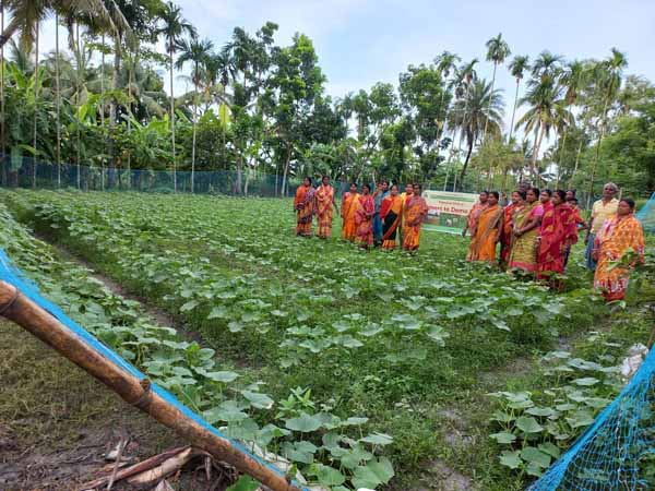 Photo gallery - Recent activities in field area