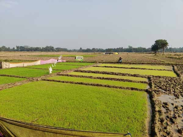 Photo gallery - Recent activities in field area